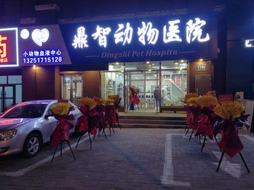 吉林长春市南关区附近的宠物医院有哪些？