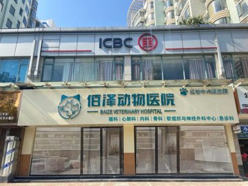 江西南昌市红谷滩区附近的宠物医院有哪些？