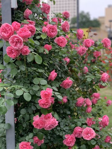 浙江杭州市拱墅区附近的旅游景点有哪些？