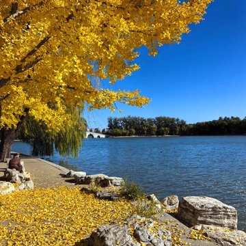 山东烟台市莱山区附近的旅游景点有哪些？