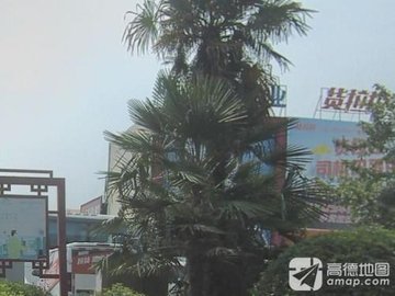 安徽滁州市琅琊区附近的搬家公司有哪些？