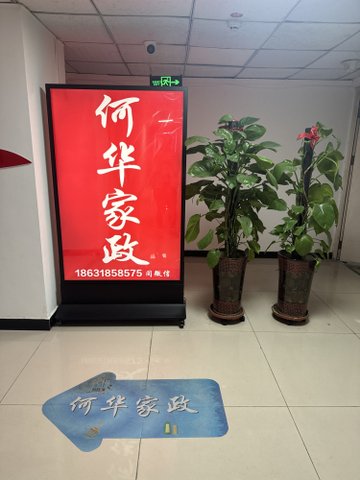 河北衡水市桃城区附近的家政公司有哪些？