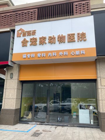 浙江嘉兴市南湖区附近的宠物医院有哪些？