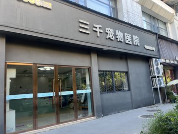 浙江金华市婺城区附近的宠物医院有哪些？