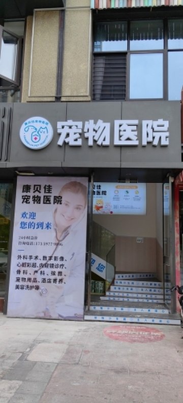 福建龙岩市新罗区附近的宠物医院有哪些？