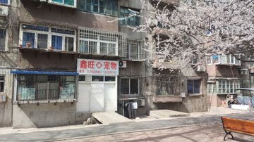 辽宁鞍山市铁东区附近的宠物医院有哪些？