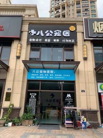 浙江绍兴市越城区附近的宠物医院有哪些？