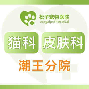 浙江杭州市拱墅区附近的宠物医院有哪些？