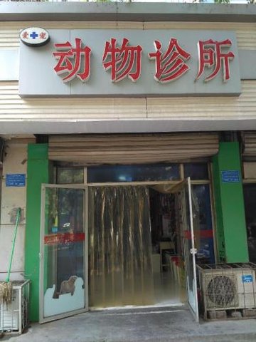 河北石家庄市长安区附近的宠物医院有哪些？