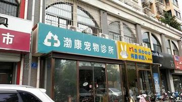 山东济南市天桥区附近的宠物医院有哪些？