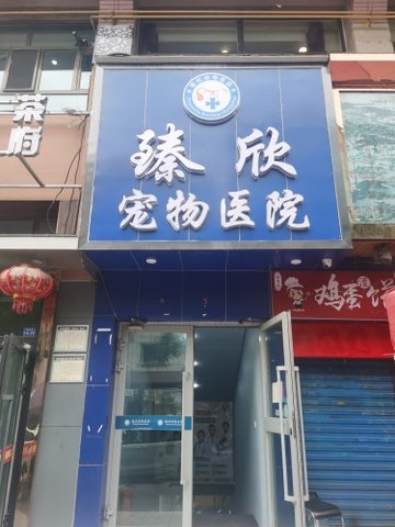 青海西宁市城中区附近的宠物医院有哪些？