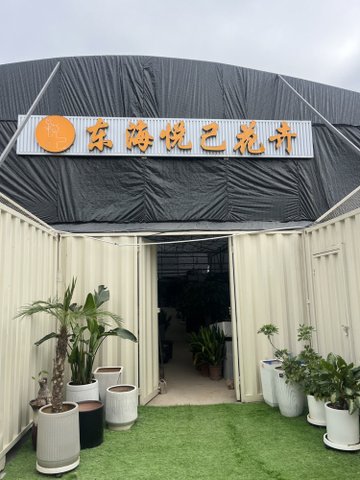 福建泉州市丰泽区附近的鲜花店有哪些？
