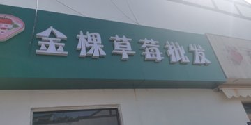 江苏宿迁市宿城区附近的批发市场有哪些？