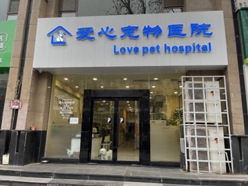 山西太原市杏花岭区附近的宠物医院有哪些？