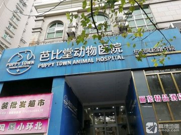 浙江杭州市拱墅区附近的宠物医院有哪些？