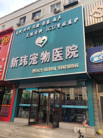 辽宁朝阳市双塔区附近的宠物医院有哪些？