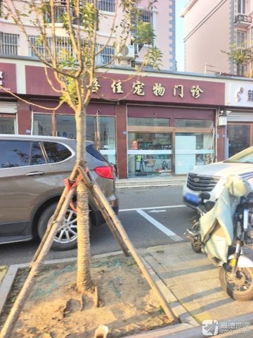 江苏宿迁市宿城区附近的宠物医院有哪些？