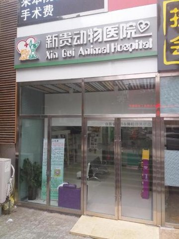 山东青岛市市南区附近的宠物医院有哪些？