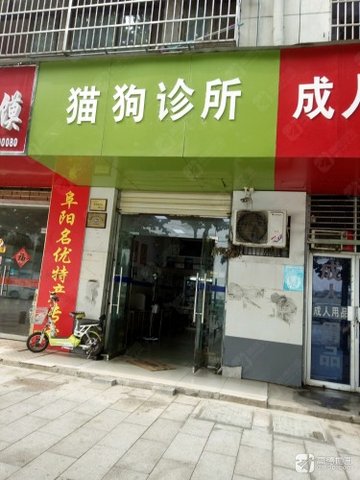 安徽阜阳市颍州区附近的宠物医院有哪些？