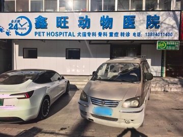 吉林白山市浑江区附近的宠物医院有哪些？