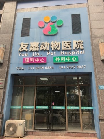 江西九江市浔阳区附近的宠物医院有哪些？