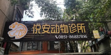 贵州贵阳市云岩区附近的宠物医院有哪些？