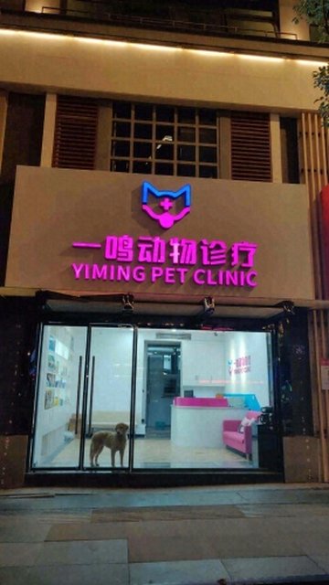 福建福州市鼓楼区附近的宠物医院有哪些？