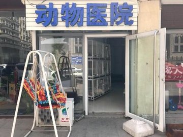 河北承德市双桥区附近的宠物医院有哪些？