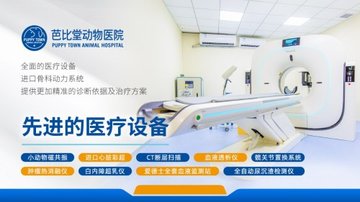 山西大同市平城区附近的宠物医院有哪些？