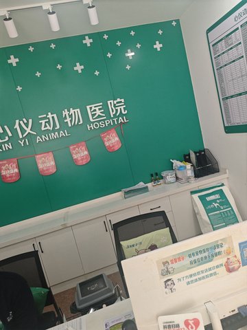 山东潍坊市奎文区附近的宠物医院有哪些？