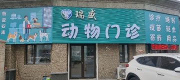 辽宁辽阳市文圣区附近的宠物医院有哪些？