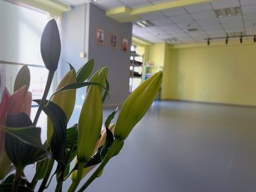 辽宁沈阳市沈河区附近的健身瑜伽馆有哪些？