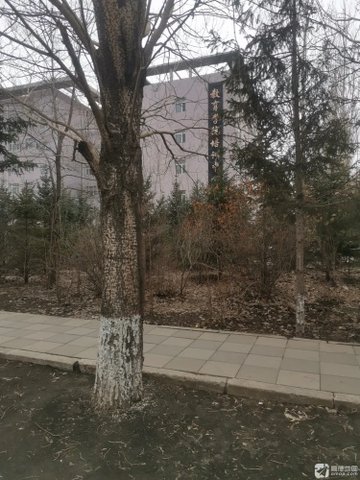 黑龙江绥化市北林区附近的培训机构有哪些？