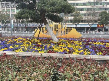 浙江金华市婺城区附近的旅游景点有哪些？