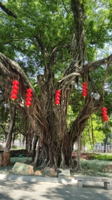 广东广州市越秀区附近的旅游景点有哪些？