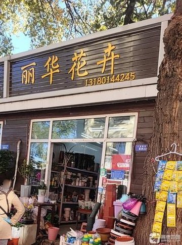河北秦皇岛市海港区附近的鲜花店有哪些？