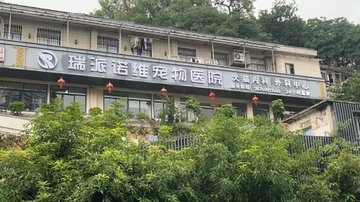 福建南平市延平区附近的宠物医院有哪些？